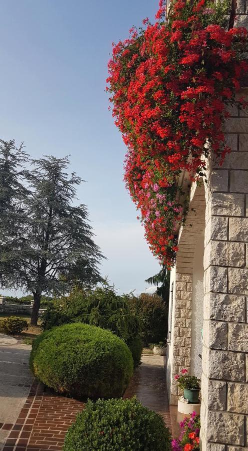Holiday Apartment Villa Bianca Pazin Exterior foto